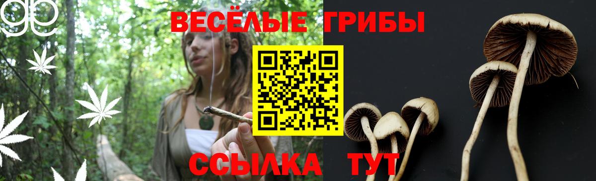 Галлюциногенные грибы ЛСД Сунжа
